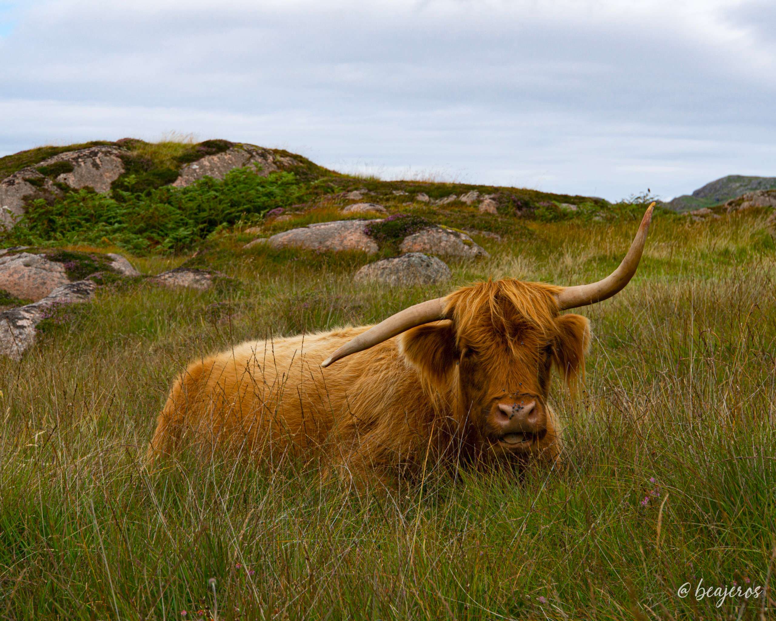 Road trip por Escocia I: de Glasgow a Isla de Skye